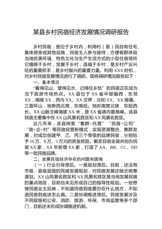 某县乡村民宿经济发展情况调研报告