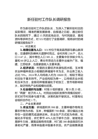 新任驻村工作队长调研报告