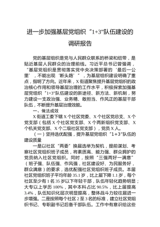 进一步加强基层党组织“13”队伍建设的调研报告
