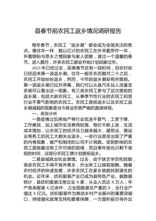 县春节前农民工返乡情况调研报告