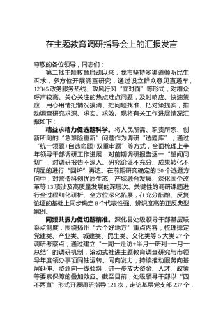 在主题教育调研指导会上的汇报发言