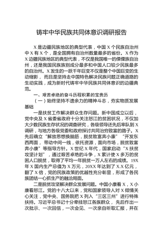 铸牢中华民族共同体意识调研报告