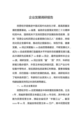 企业发展调研报告