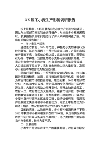 XX区冬小麦生产形势调研报告