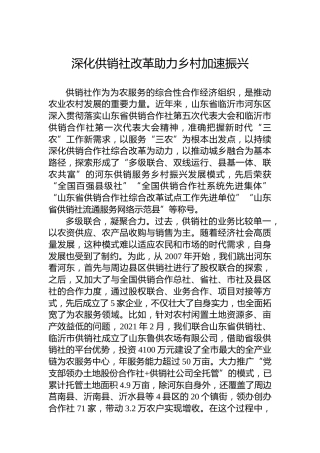党课讲稿：深化供销社改革助力乡村加速振兴