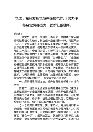 党课：充分发挥党员先锋模范作用 努力使每名党员都成为一面鲜红的旗帜