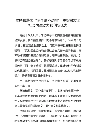 党课讲稿：坚持和落实“两个毫不动摇” 更好激发全社会内生动力和创新活力