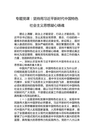 专题党课：坚持用习近平新时代中国特色社会主义思想凝心铸魂