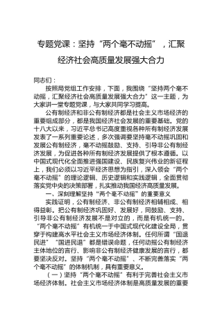 专题党课：坚持“两个毫不动摇”，汇聚经济社会高质量发展强大合力