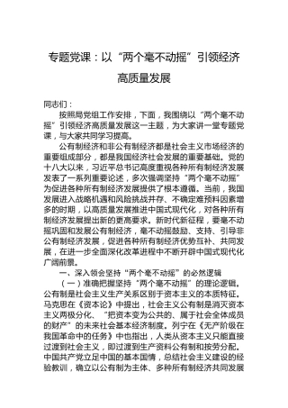专题党课：以“两个毫不动摇”引领经济高质量发展