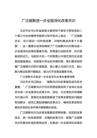 党课讲稿：广泛凝聚进一步全面深化改革共识
