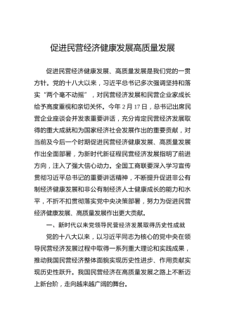 党课讲稿：促进民营经济健康发展高质量发展