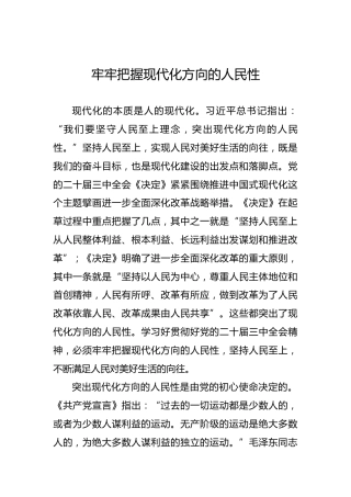牢牢把握现代化方向的人民性
