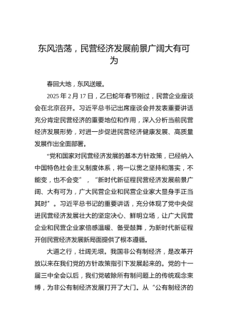 党课讲稿：东风浩荡，民营经济发展前景广阔大有可为