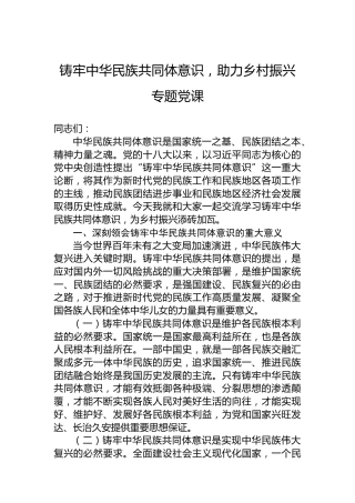 铸牢中华民族共同体意识，助力乡村振兴专题党课
