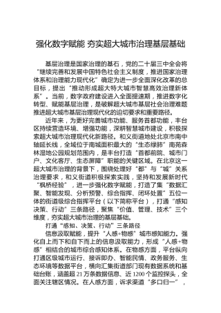 党课讲稿：强化数字赋能 夯实超大城市治理基层基础