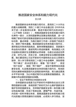 推进国家安全体系和能力现代化