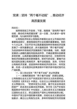 党课：坚持“两个毫不动摇”，推动经济高质量发展