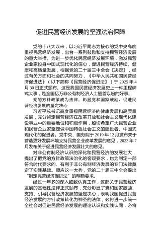 党课讲稿：促进民营经济发展的坚强法治保障