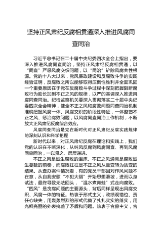 党课讲稿：坚持正风肃纪反腐相贯通深入推进风腐同查同治