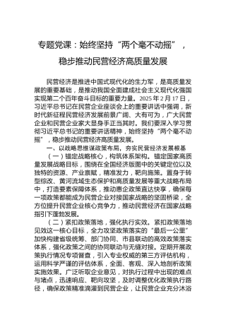专题党课：始终坚持“两个毫不动摇”，稳步推动民营经济高质量发展