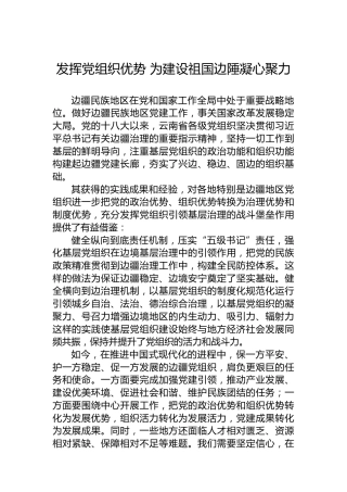 发挥党组织优势 为建设祖国边陲凝心聚力