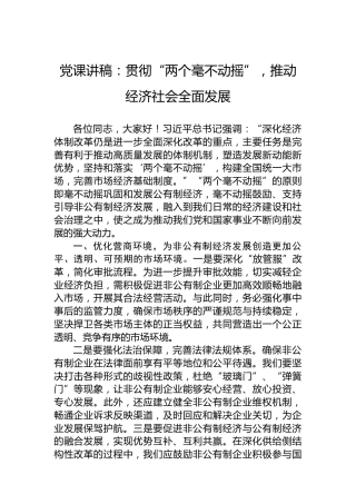 党课讲稿：贯彻“两个毫不动摇”，推动经济社会全面发展
