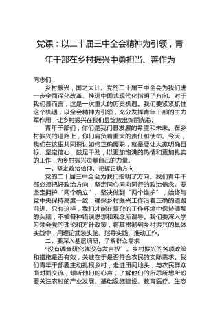 党课：以二十届三中全会精神为引领，青年干部在乡村振兴中勇担当、善作为