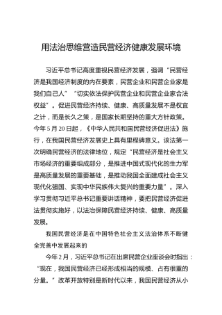 用法治思维营造民营经济健康发展环境
