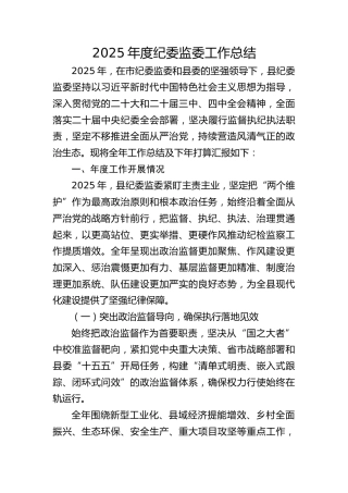 2025年度纪委监委工作总结4200字