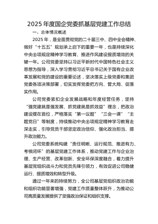 2025年度国企公司党委抓党建工作总结报告4200字