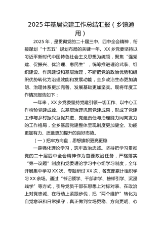 乡镇2025年党建工作总结汇报2700字