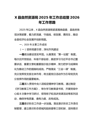 X县自然资源局2025年工作总结暨2026年工作思路