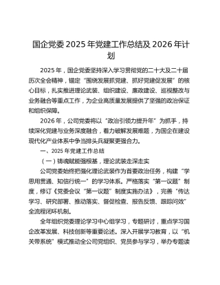 国企党委2025年党建工作总结及2026年计划