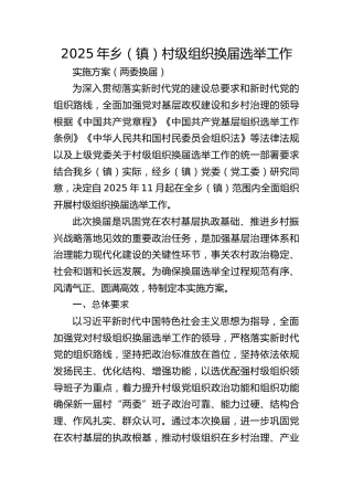 乡镇村级组织换届选举工作实施方案3800字