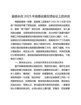 副县长在2025年县委巡察反馈会议上的讲话