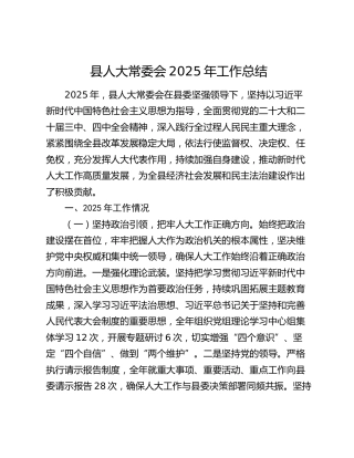 县人大常委会2025年工作总结