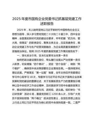 2025年度市国有企业党委书记抓基层党建工作述职报告