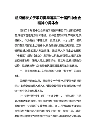 组织部长关于学习贯彻落实二十届四中全会精神心得体会