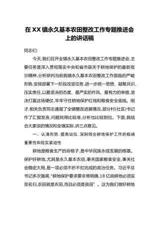在XX镇永久基本农田整改工作专题推进会上的讲话稿
