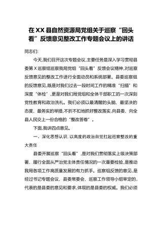 在XX县自然资源局党组关于巡察“回头看”反馈意见整改工作专题会议上的讲话