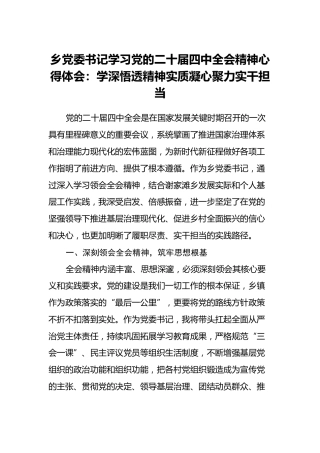 乡党委书记学习党的二十届四中全会精神心得体会：学深悟透精神实质 凝心聚力实干担当