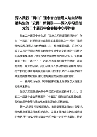 深入践行“两山”理念奋力谱写人与自然和谐共生的“安民”新篇章——深入学习贯彻党的二十届四中全会精神心得体会