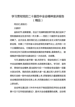 学习贯彻党的二十届四中全会精神宣讲报告（精品）