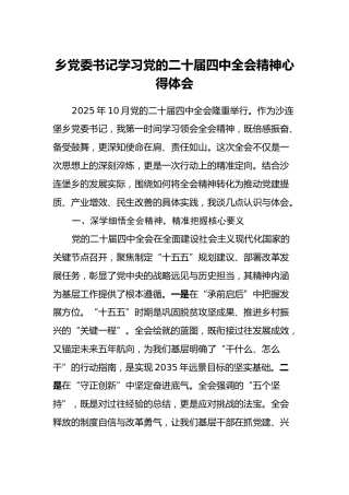 乡党委书记学习党的二十届四中全会精神心得体会