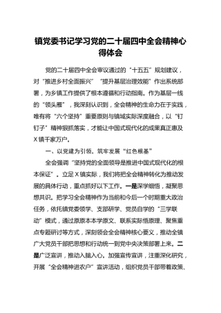 镇党委书记学习党的二十届四中全会精神心得体会