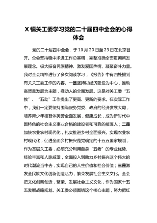 X镇关工委学习党的二十届四中全会的心得体会