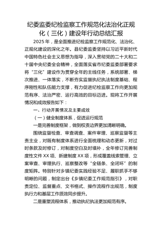 纪委监委纪检监察工作规范化法治化正规化（三化）建设年行动总结汇报