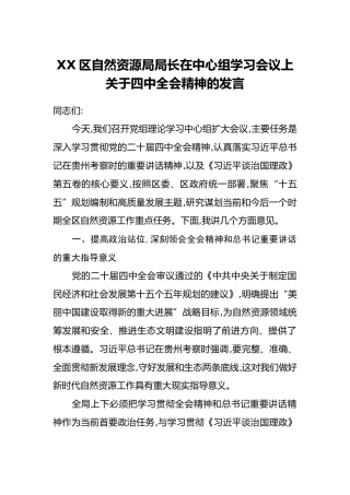 XX区自然资源局局长在中心组学习会议上关于四中全会精神的发言