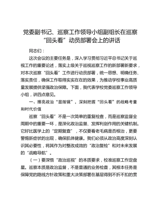 党委副书记、巡察工作领导小组副组长在巡察“回头看”动员部署会上的讲话